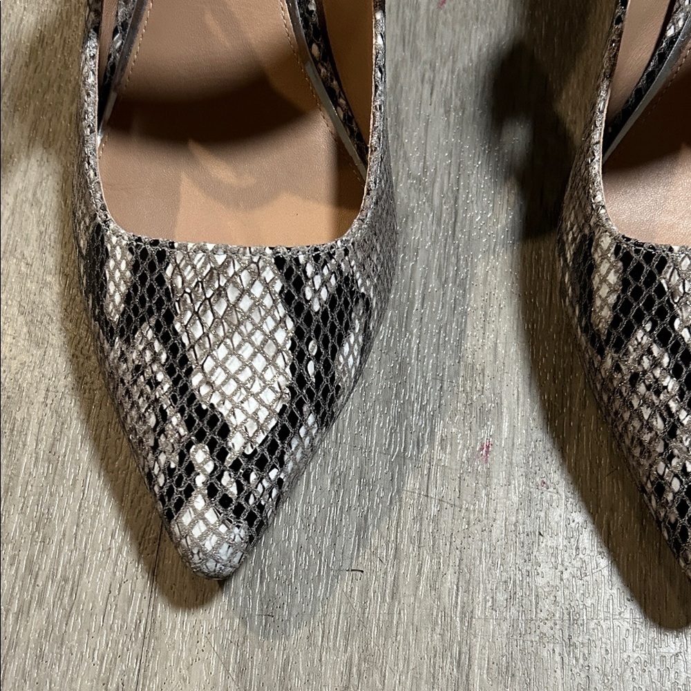 Paolo Women's Snakeskin Heels - Black and Gold - Picture 2 of 9